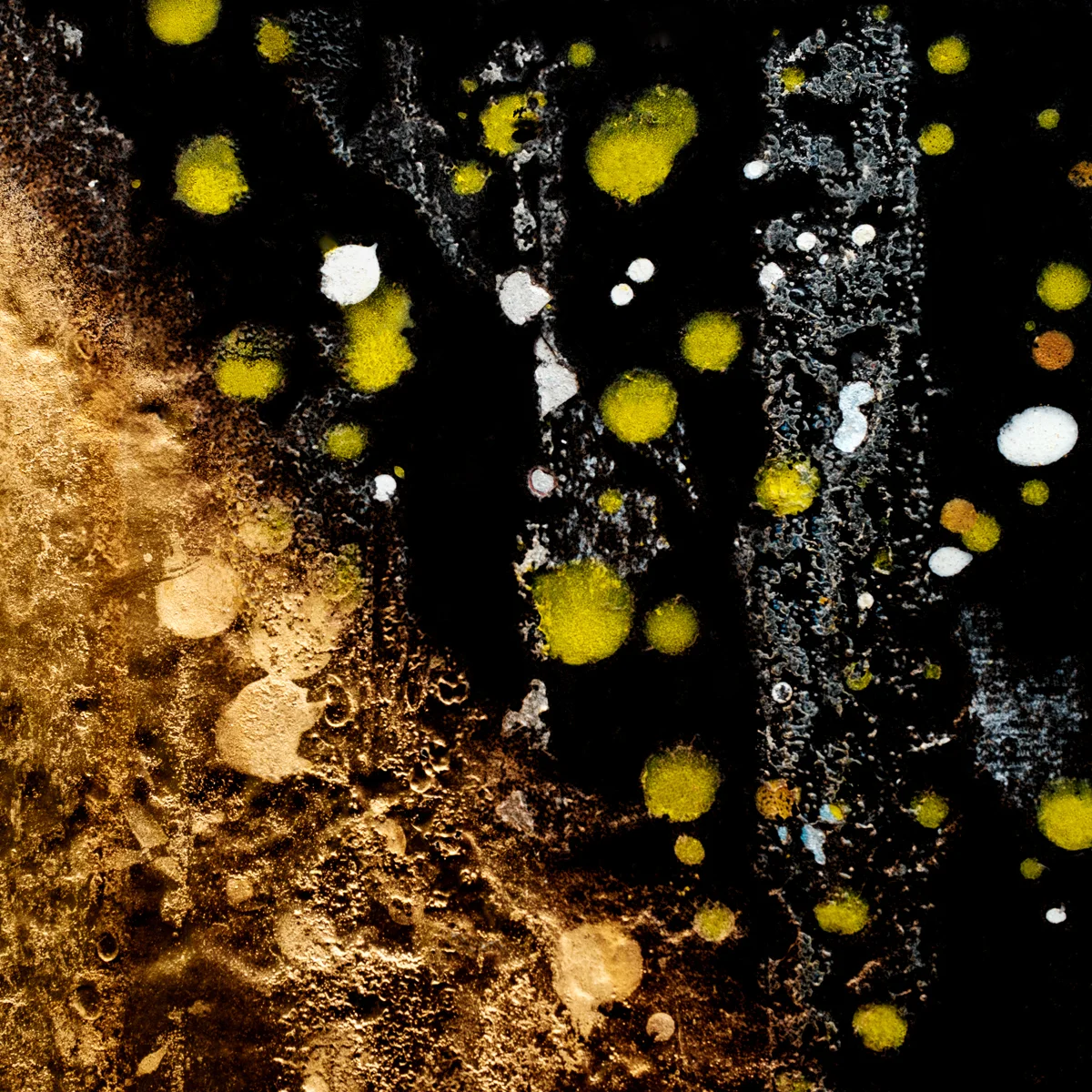 <p>© Alexandra Schmid</p>