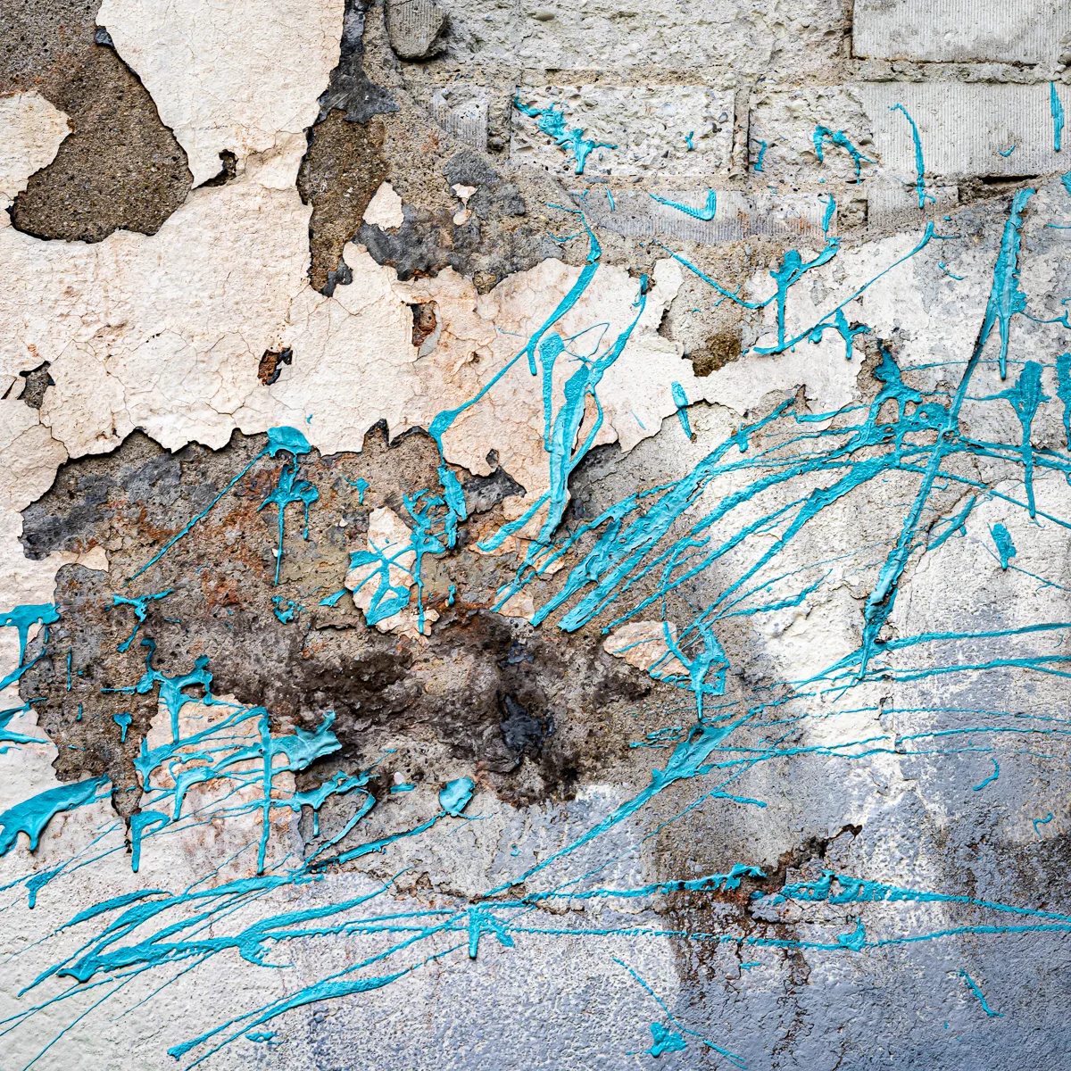 <p>© Alexandra Schmid</p>