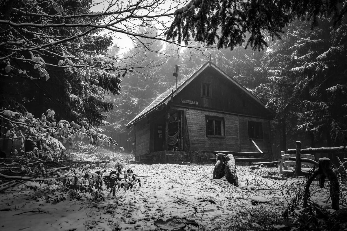The Shack<p>© Amadeusz Swierk</p>