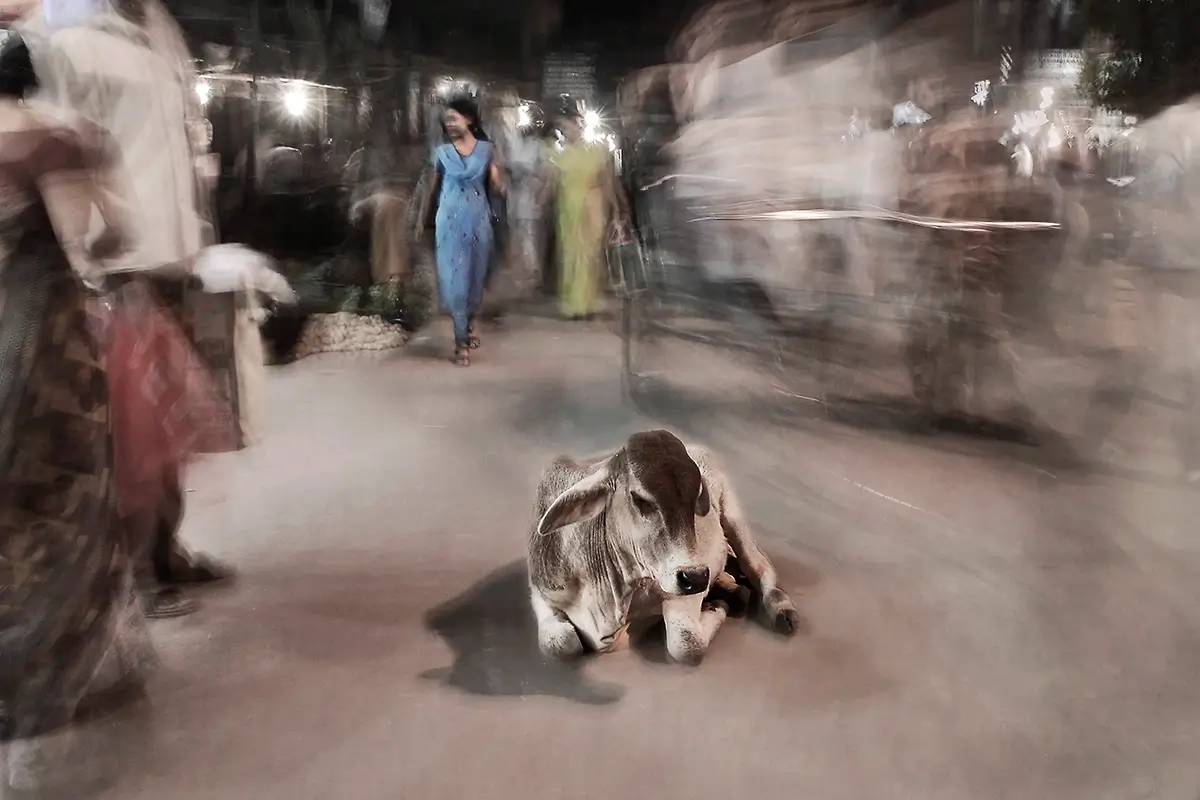 India 2006<p>© Arne Strømme</p>