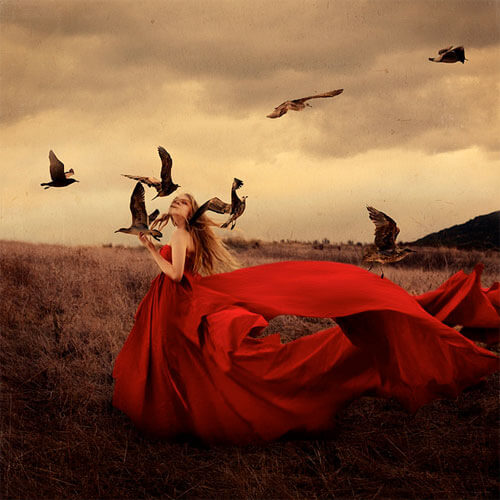 <p>© Brooke Shaden</p>