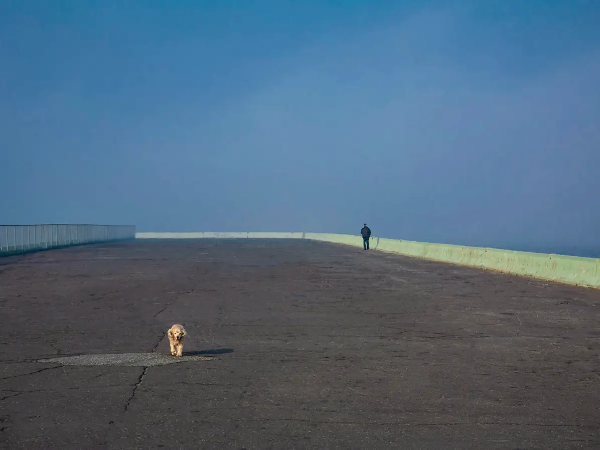 <p>© Charles Schiller</p>