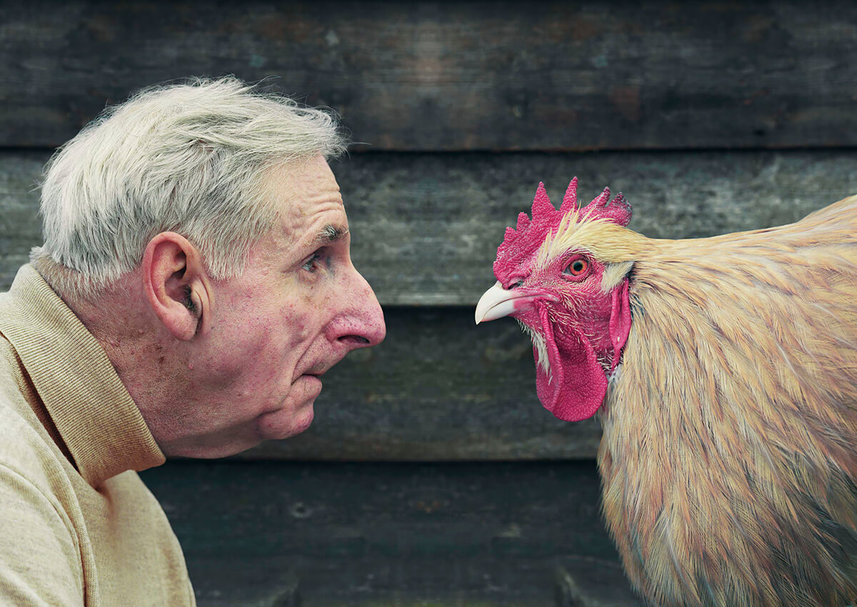 Hugh and chicken in profile<p>© David Stewart</p>