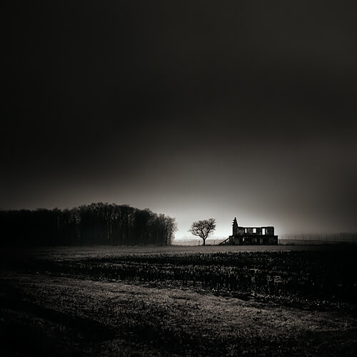 Home Alone<p>© Ebru Sidar</p>