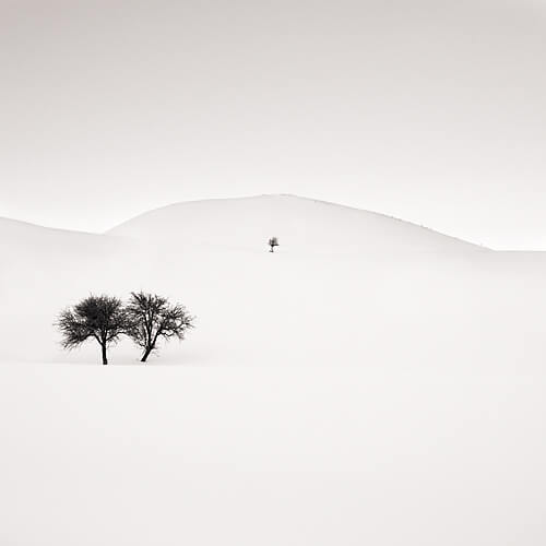 Don<p>© Ebru Sidar</p>