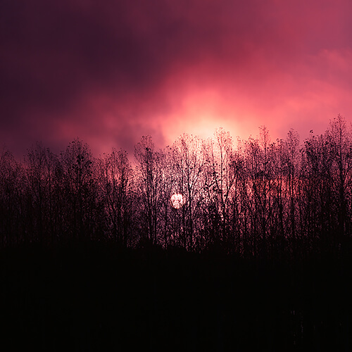 Desperate Earth<p>© Ebru Sidar</p>