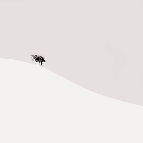 The Ultimate race<p>© Ebru Sidar</p>