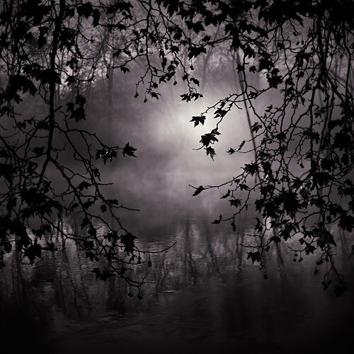 The Eye of the Night<p>© Ebru Sidar</p>