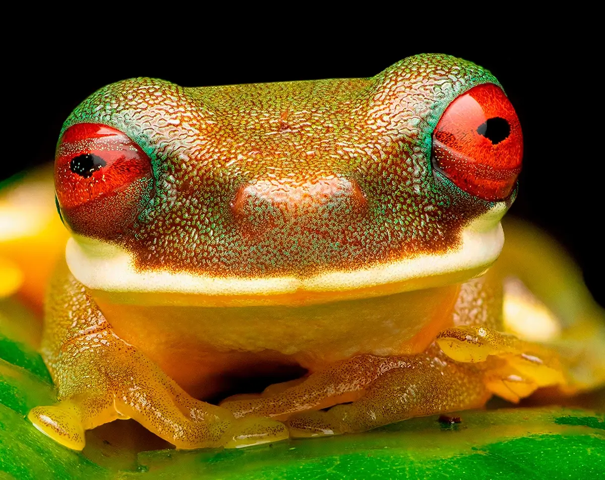 <p>&copy; Eduardo Salvador</p>