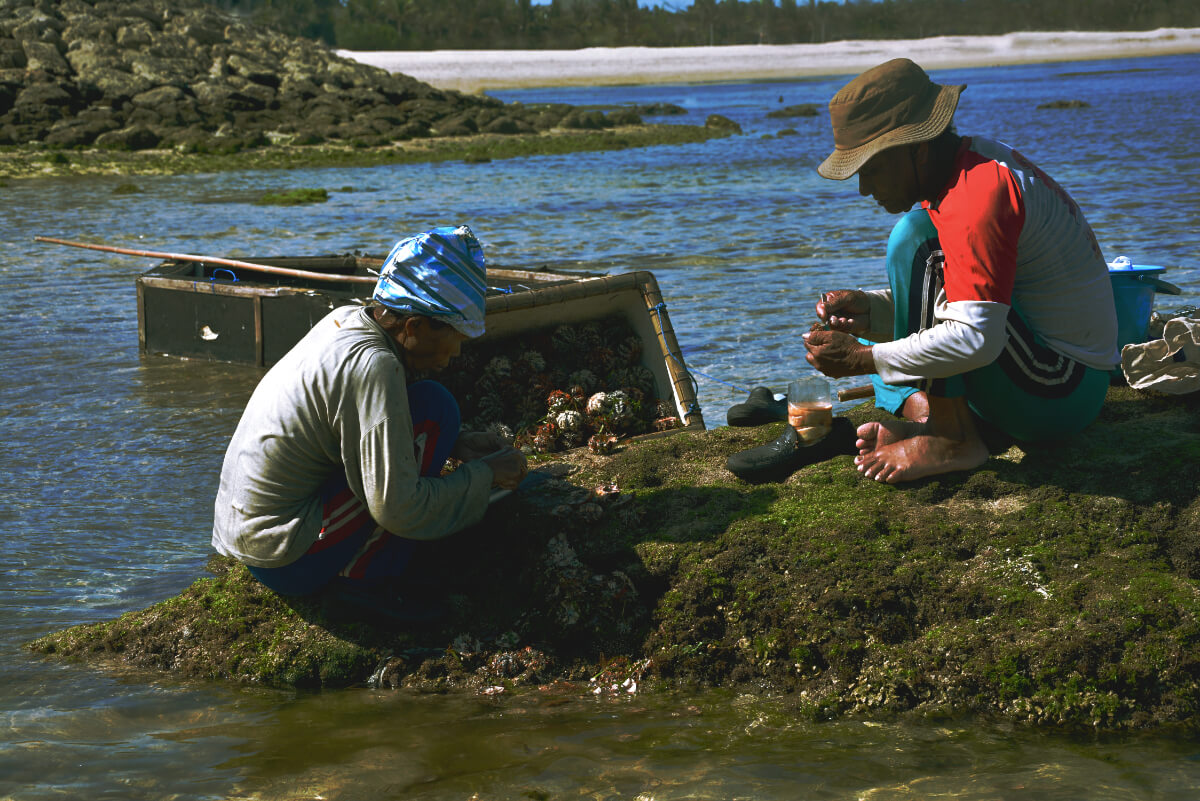 Sea Urchin Hunting<p>© Elmira Sturki</p>