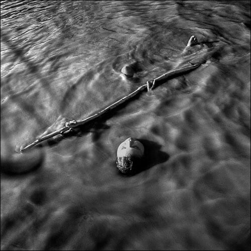 <p>© Emily Schiffer</p>