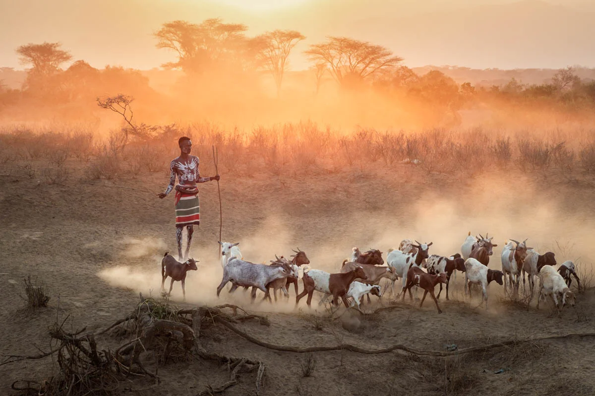 <p>&copy; Gabi Steiner</p>