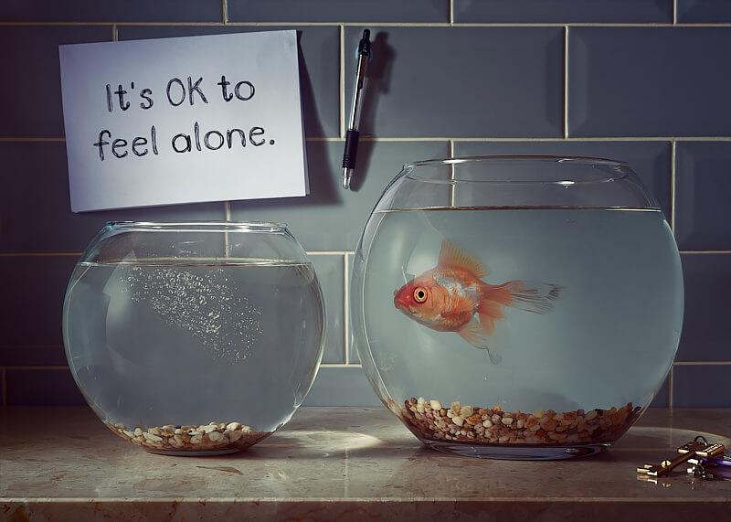 It’s OK To Feel Alone<p>© Gavin Smart</p>