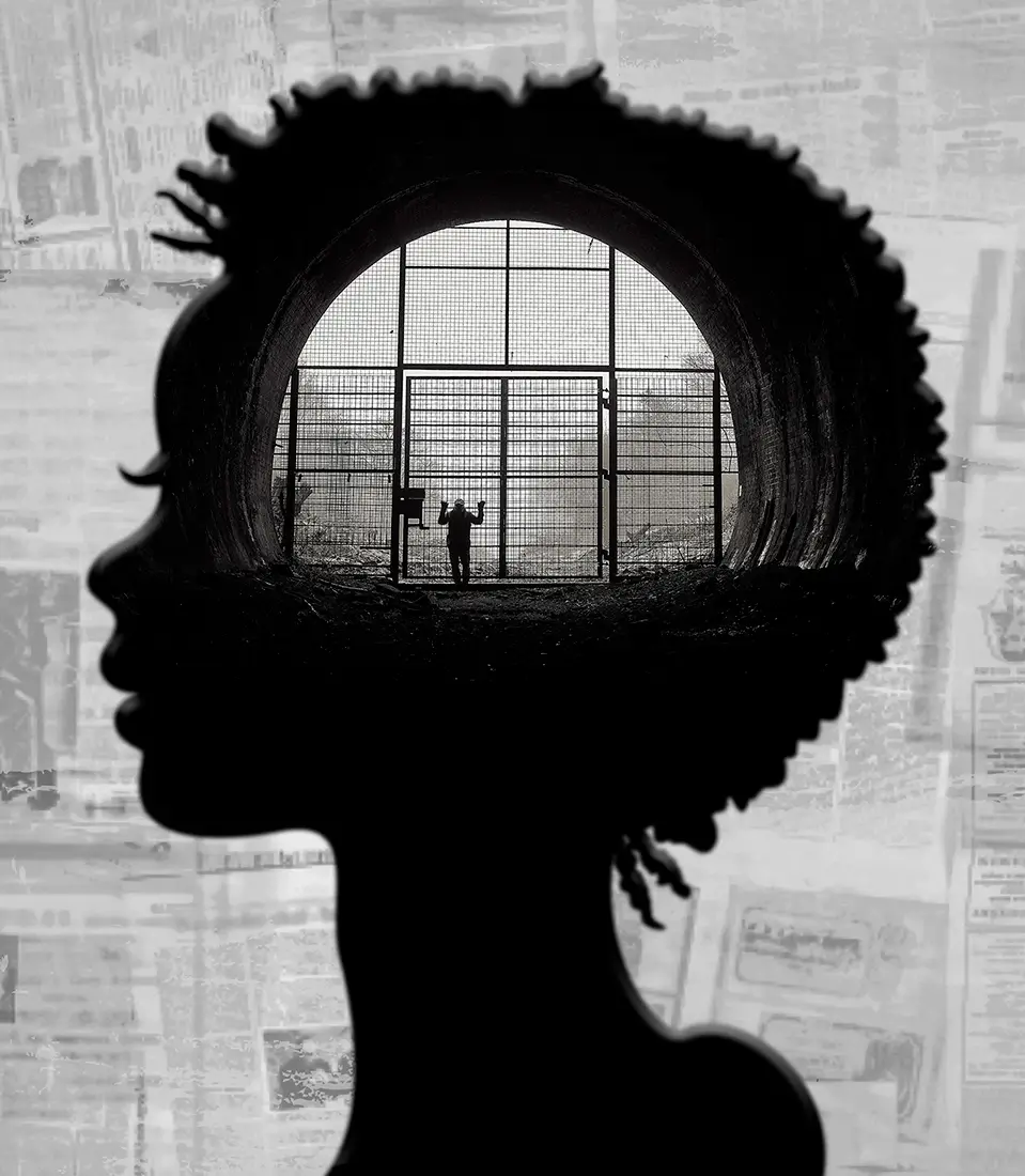 Braintunnels<p>© Jack Savage</p>