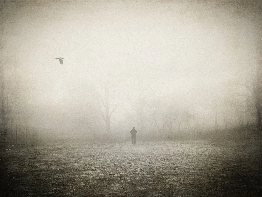 Silent Individualism<p>© Jack Savage</p>