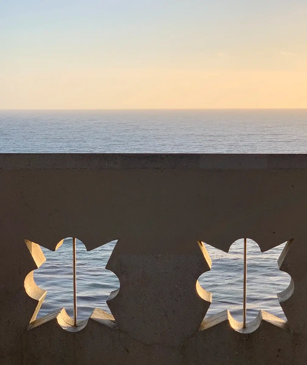Openings<p>© Janet Sternburg</p>