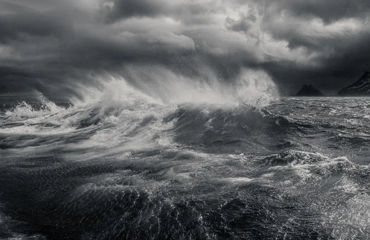 <p>© Jeff Schewe</p>