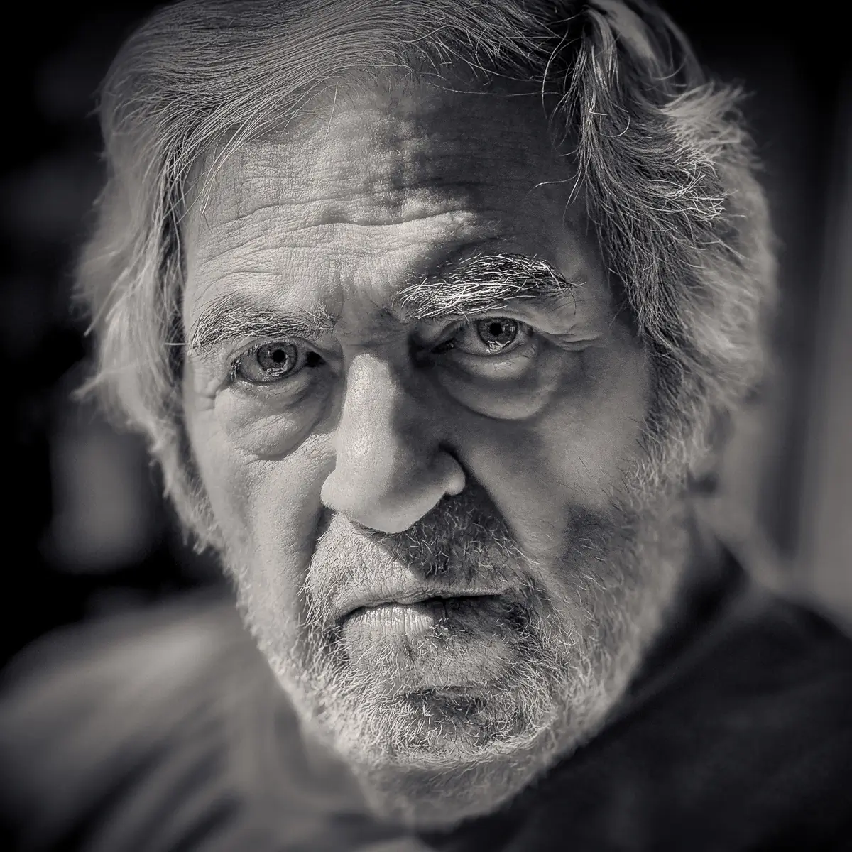 <p>© Jeff Schewe</p>