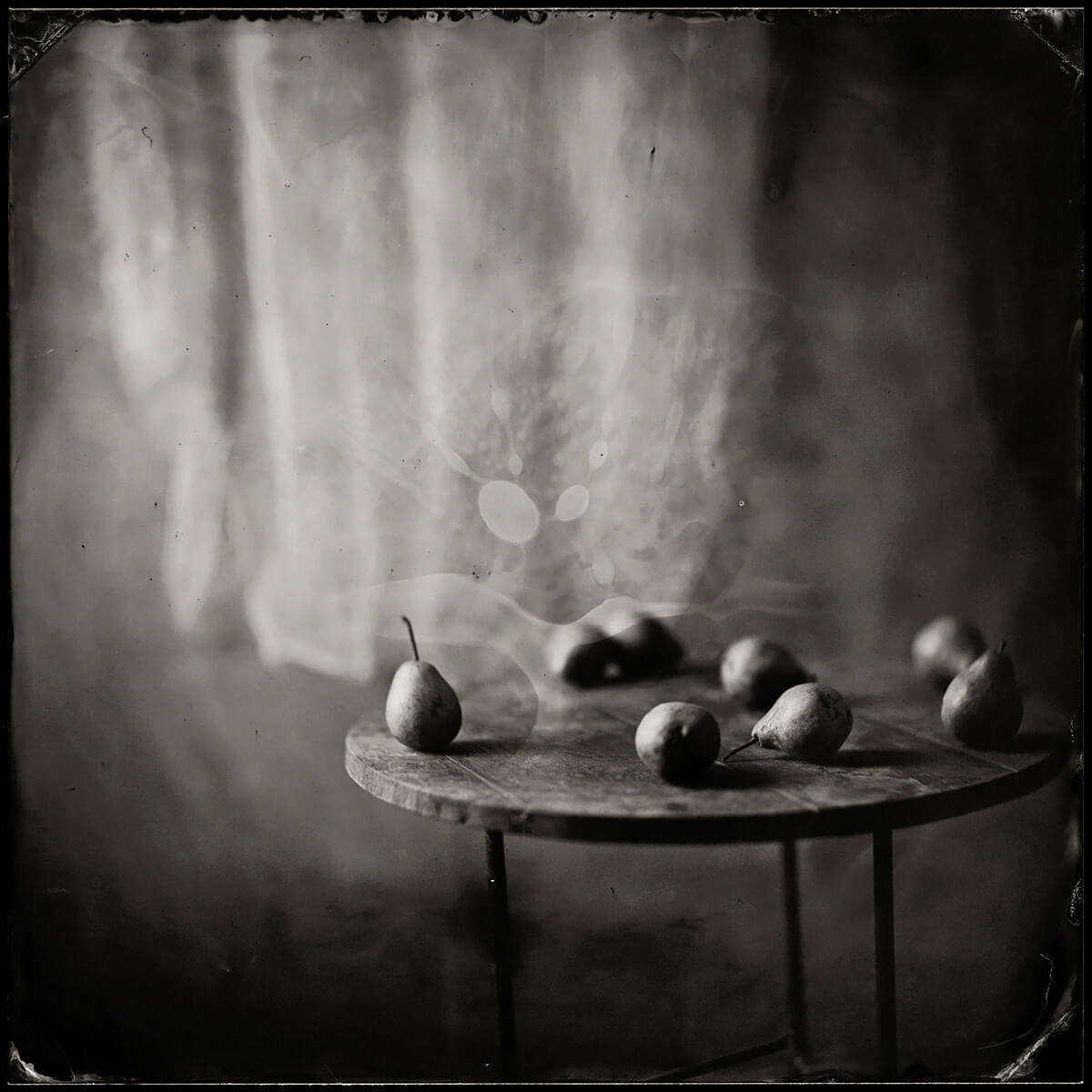 Pears In The Afternoon 2015<p>© Karoline Schneider</p>