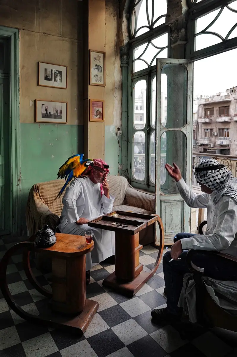 <p>© Laurin Strele</p>