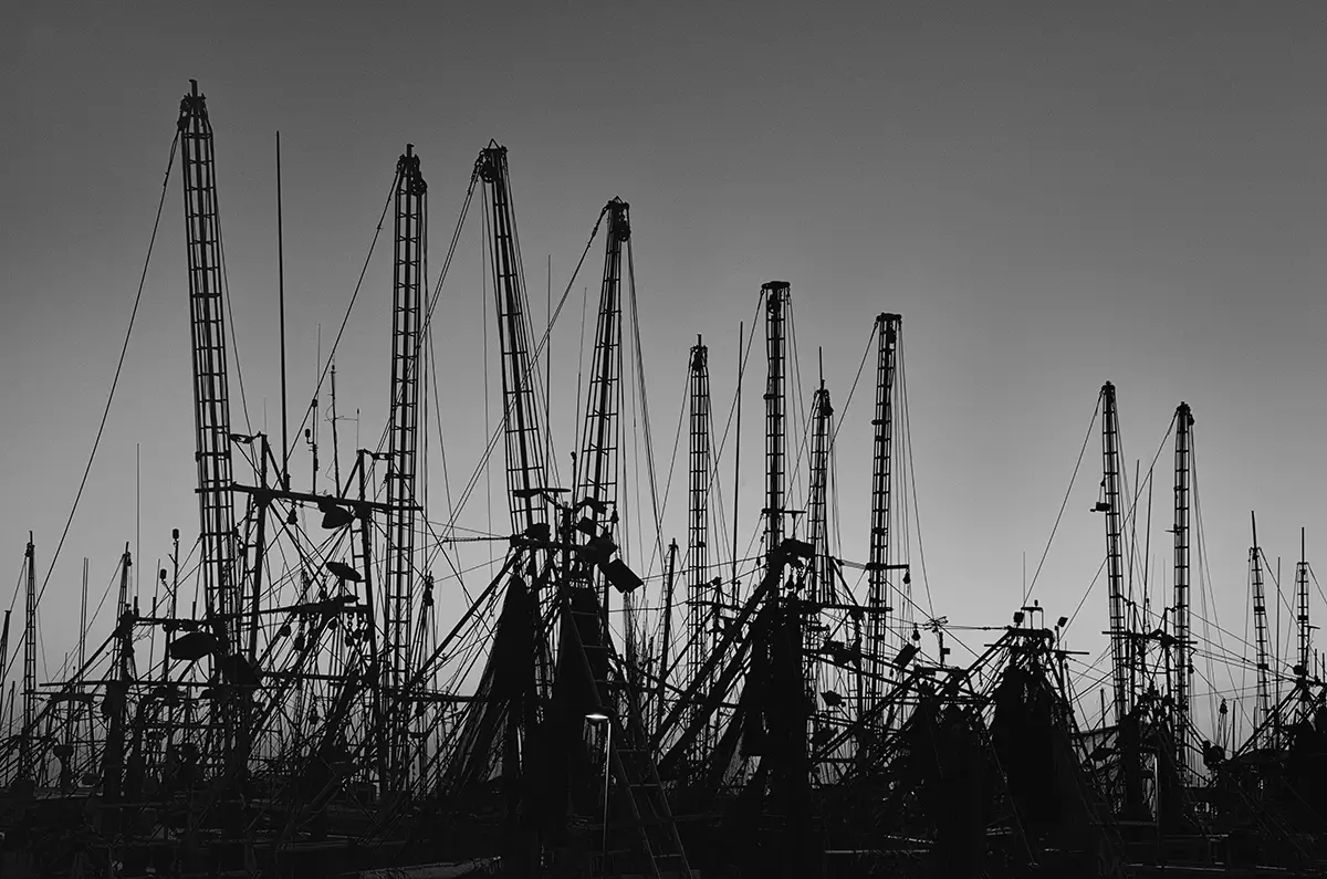 East, Highway 90, Beyond the Rigolets<p>© Les Schmidt</p>