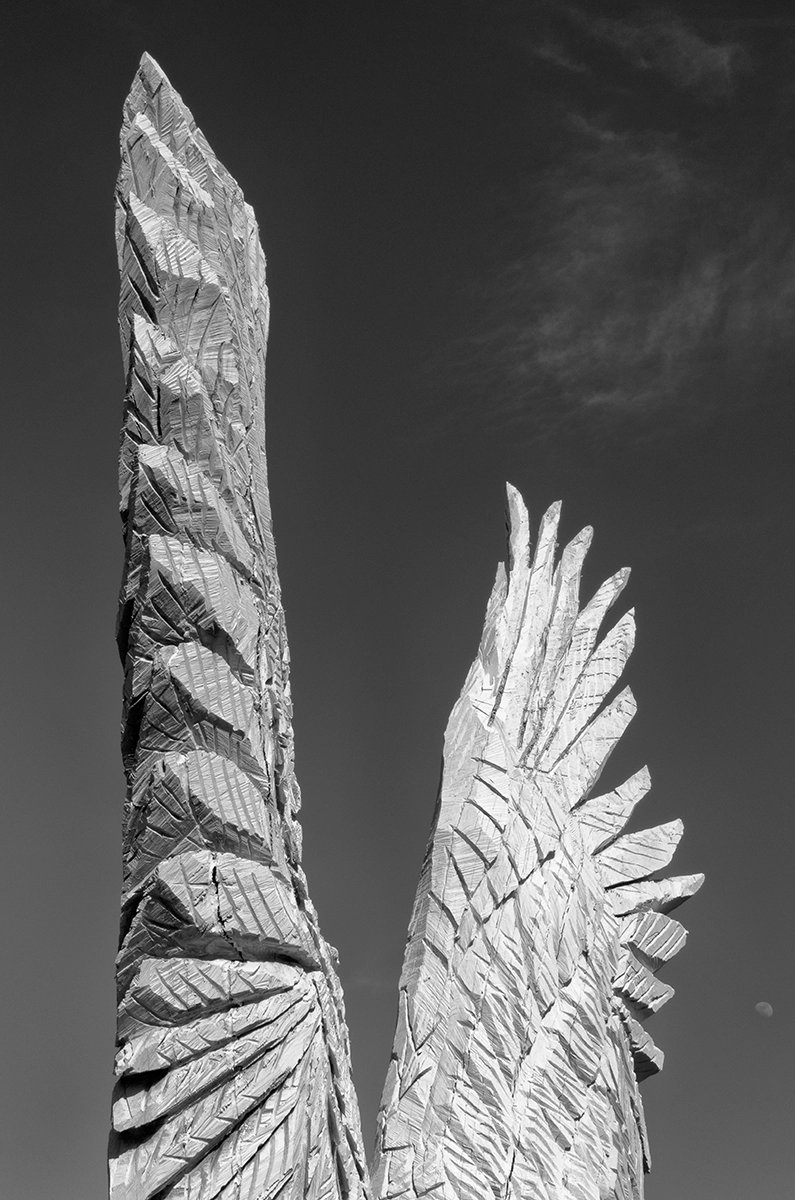 Phoenix, Emblème<p>© Les Schmidt</p>