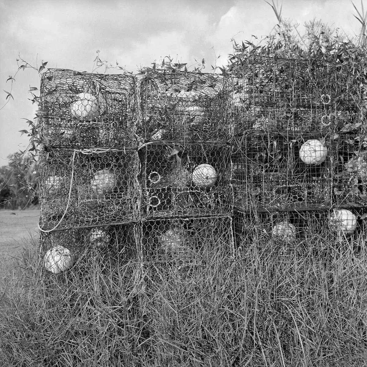 Crab Traps, The Rigolets<p>© Les Schmidt</p>