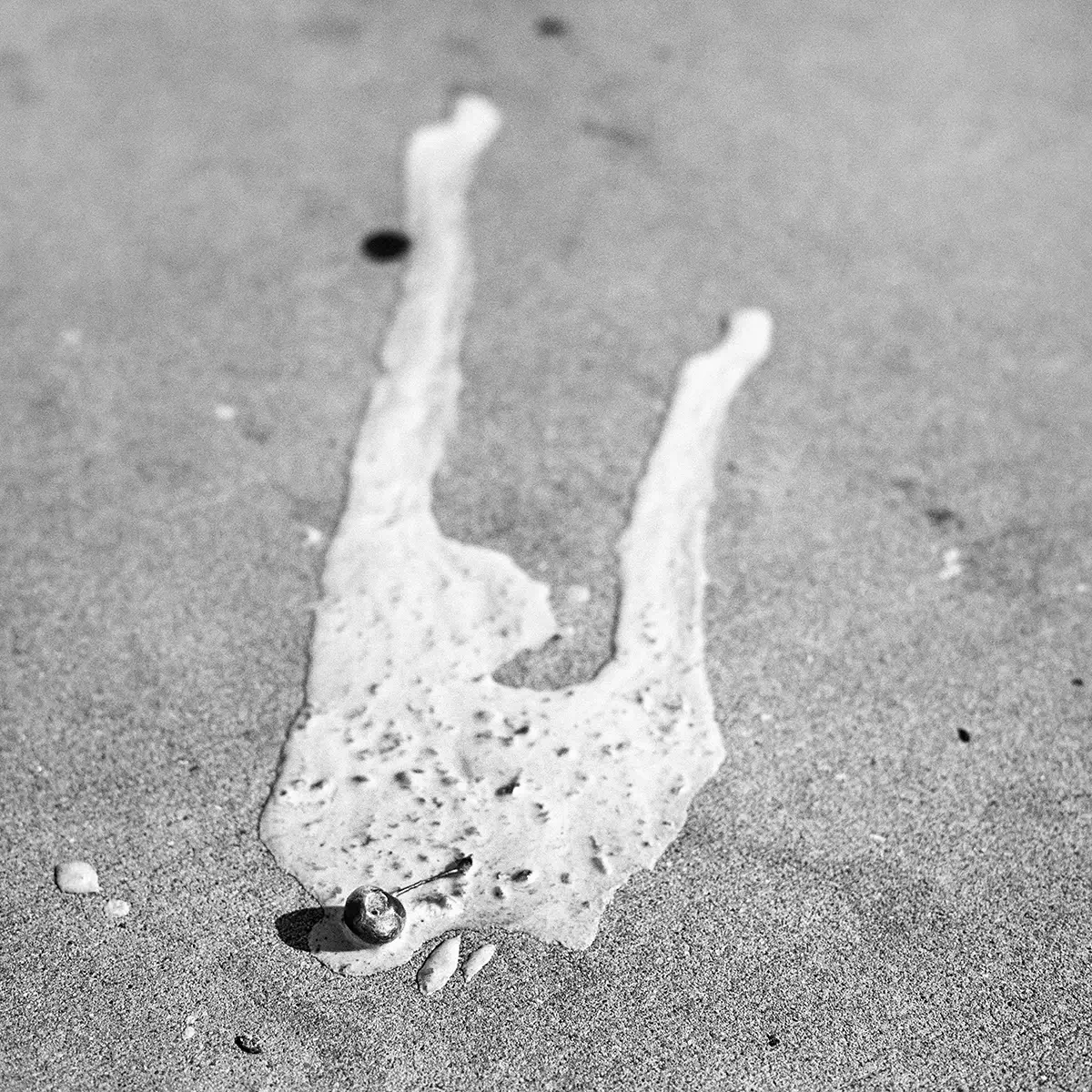Meltdown, Santa Barbara<p>© Les Schmidt</p>