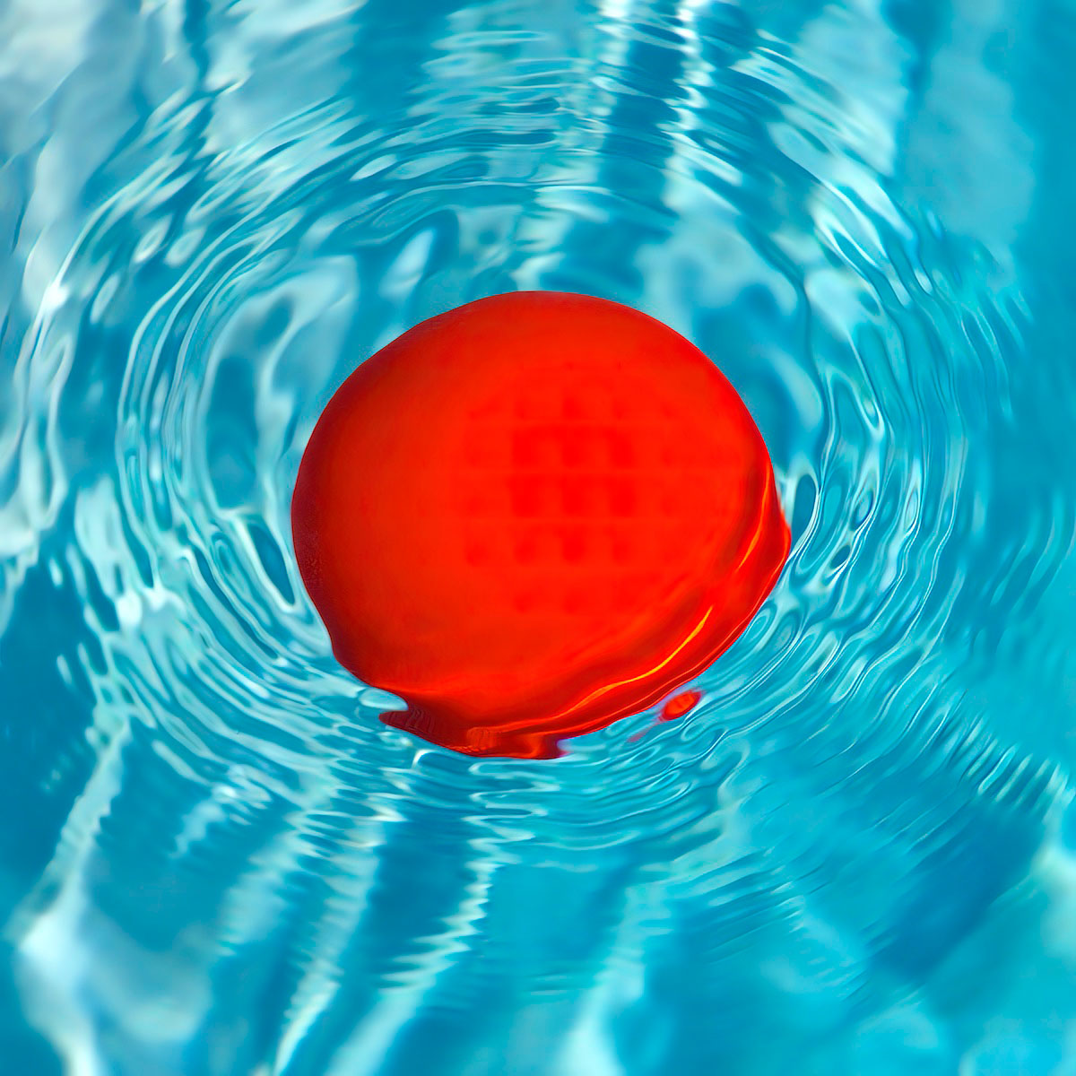 Red Ball Feeling the Heat J<p>© Lynn Savarese</p>