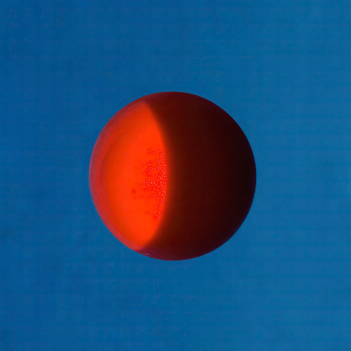Red Ball’s Crescent Moon J<p>© Lynn Savarese</p>