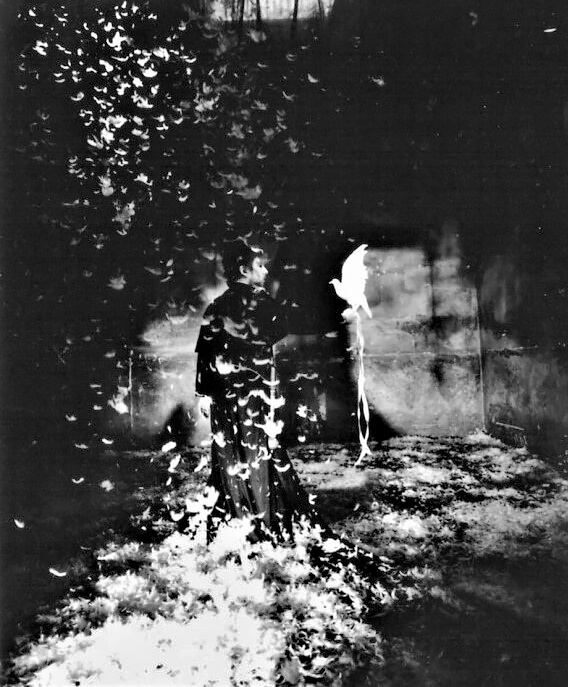 Wunderkamera 2<p>© Marco Sanges</p>