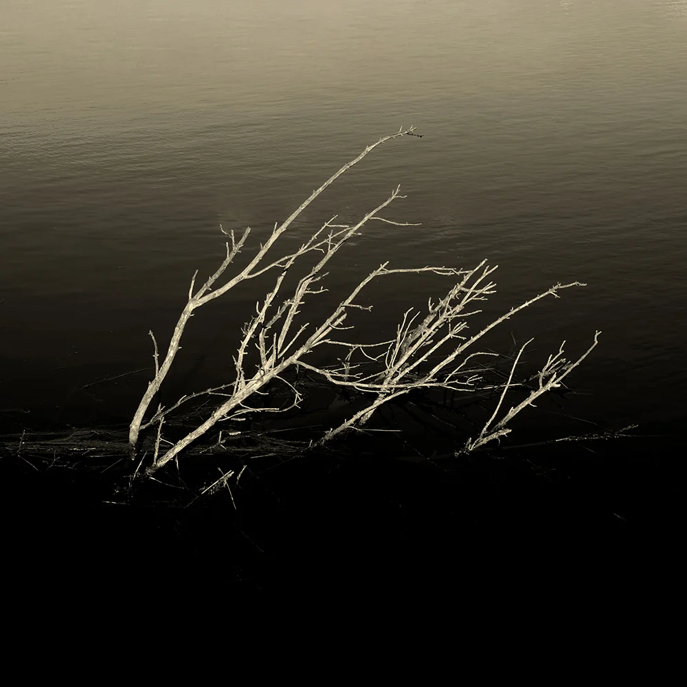 <p>© Marie Sueur</p>