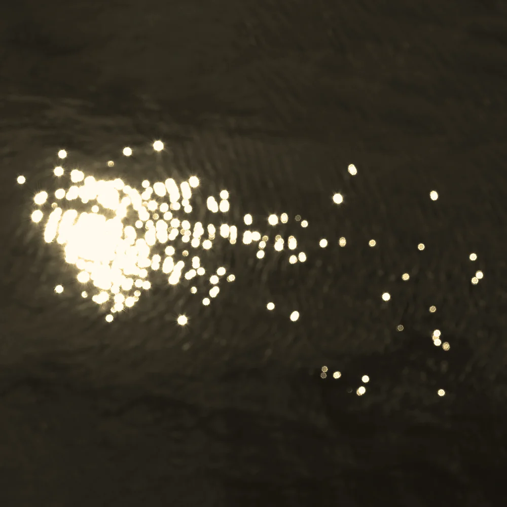 <p>© Marie Sueur</p>