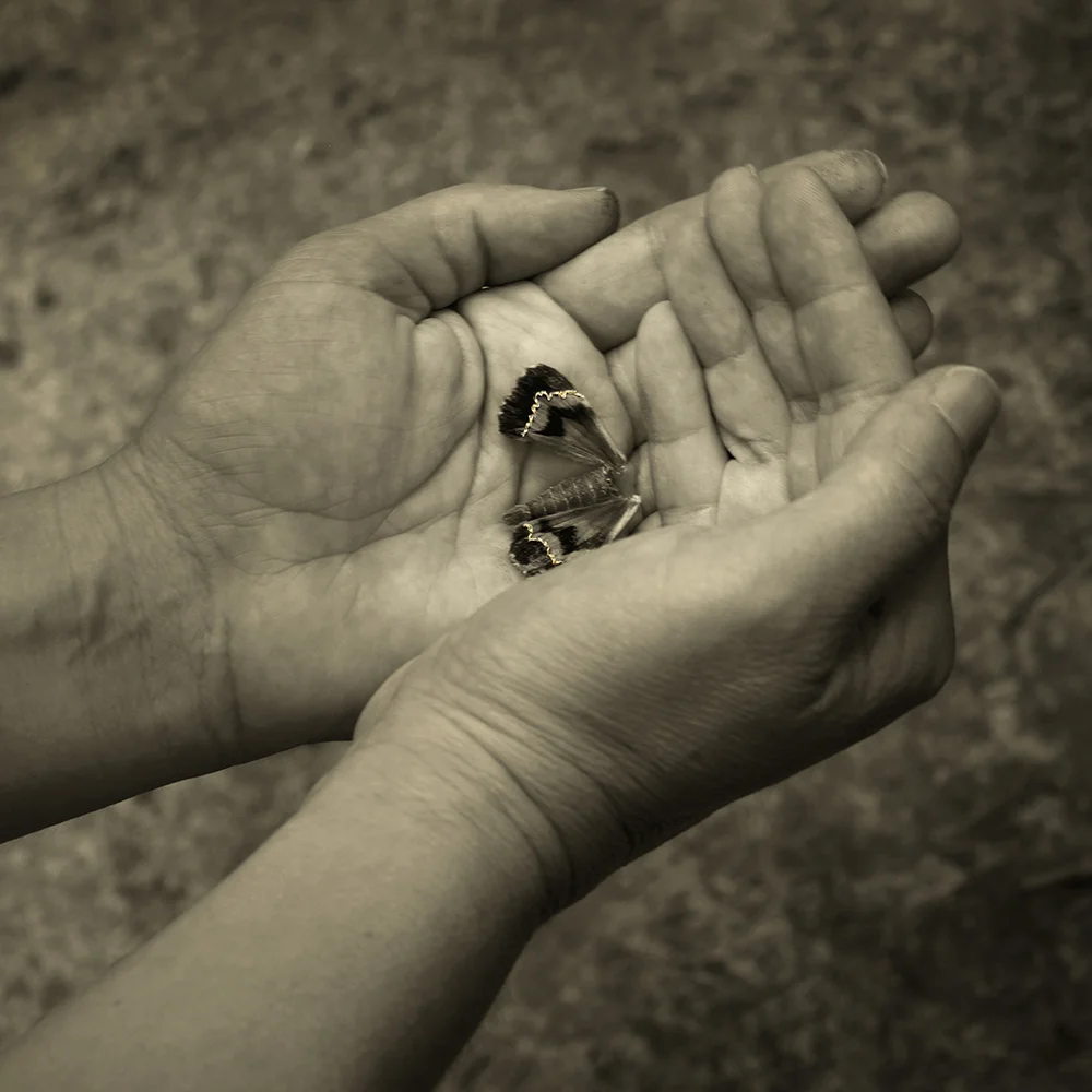 <p>© Marie Sueur</p>