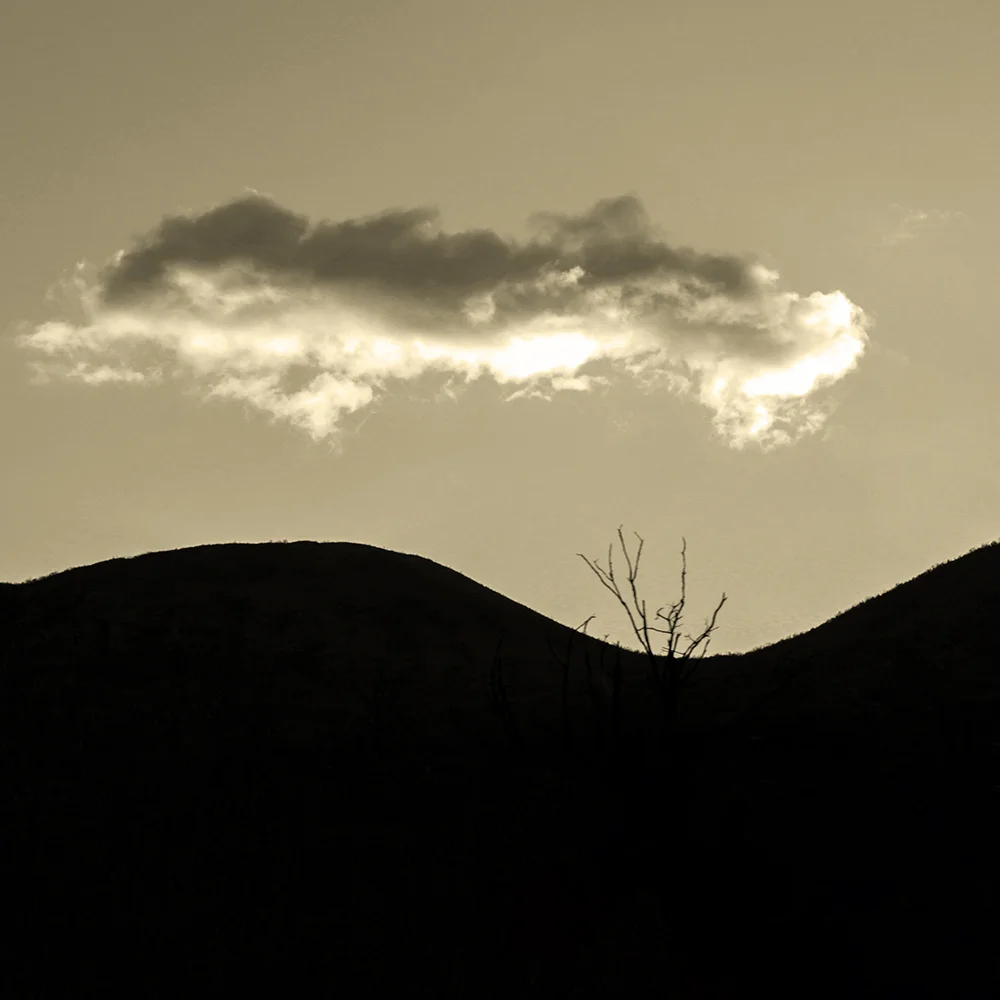 <p>© Marie Sueur</p>