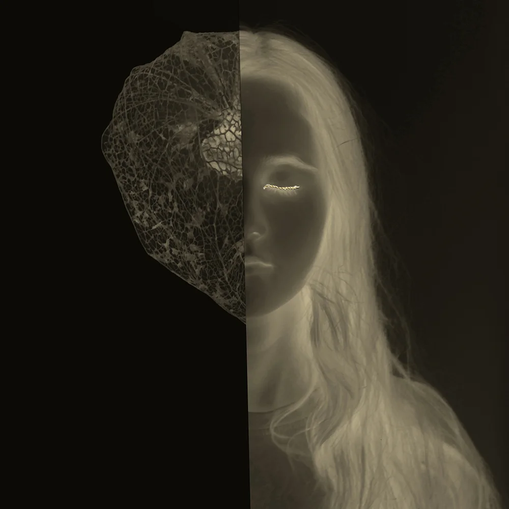 <p>© Marie Sueur</p>