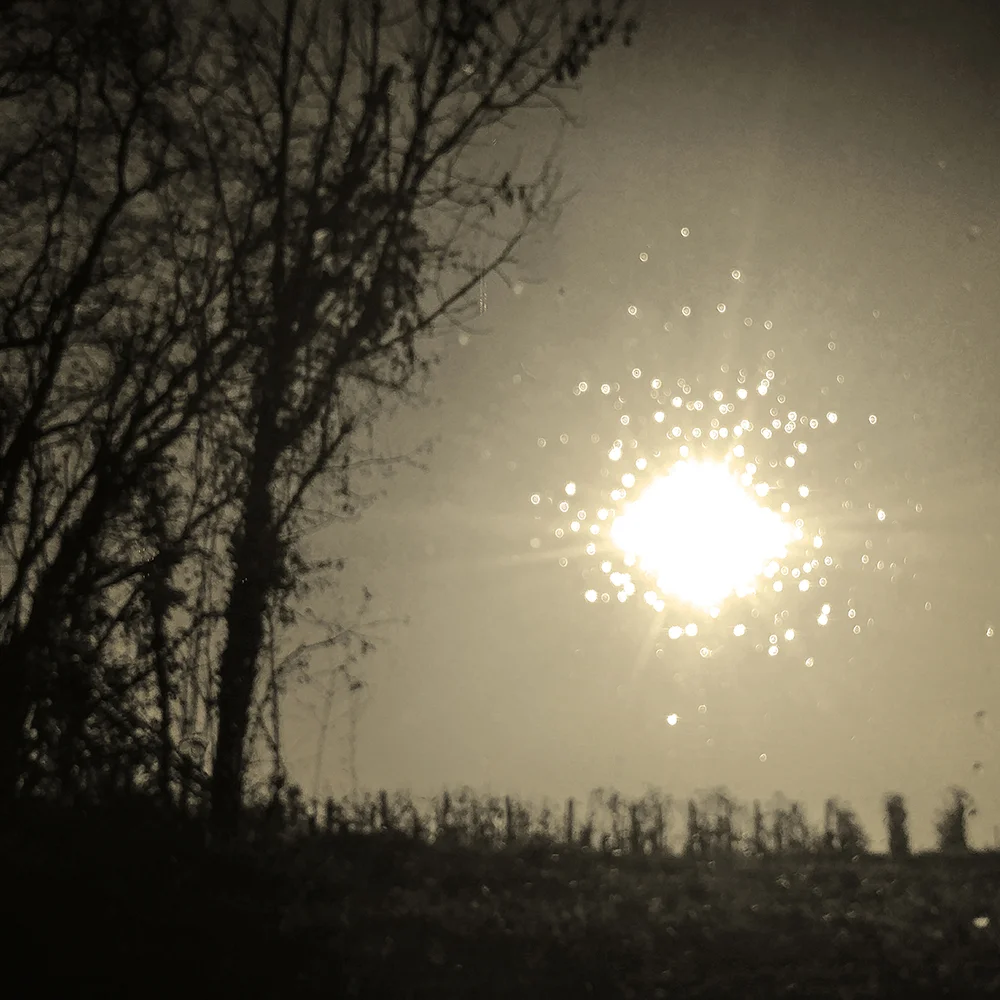 <p>© Marie Sueur</p>