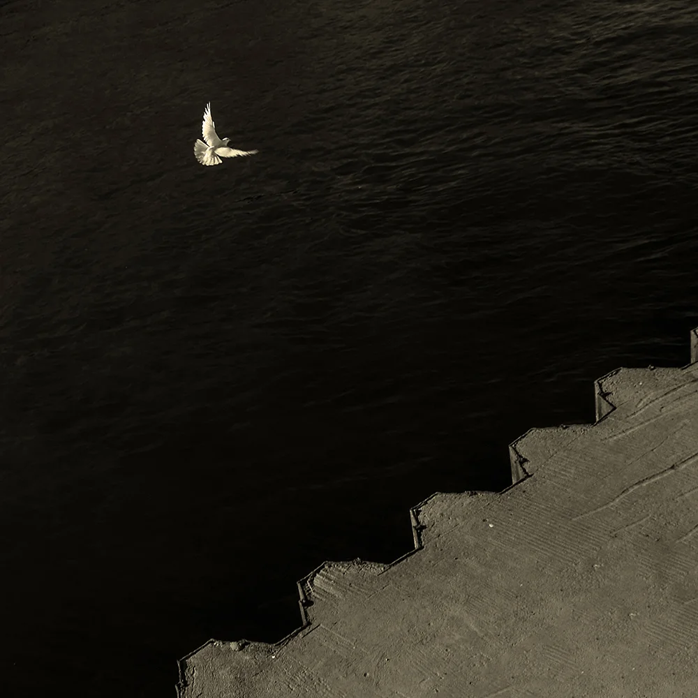 <p>© Marie Sueur</p>