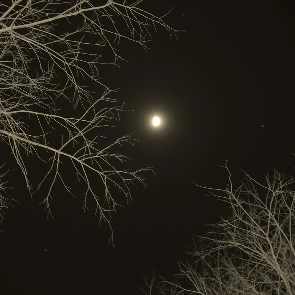 <p>© Marie Sueur</p>