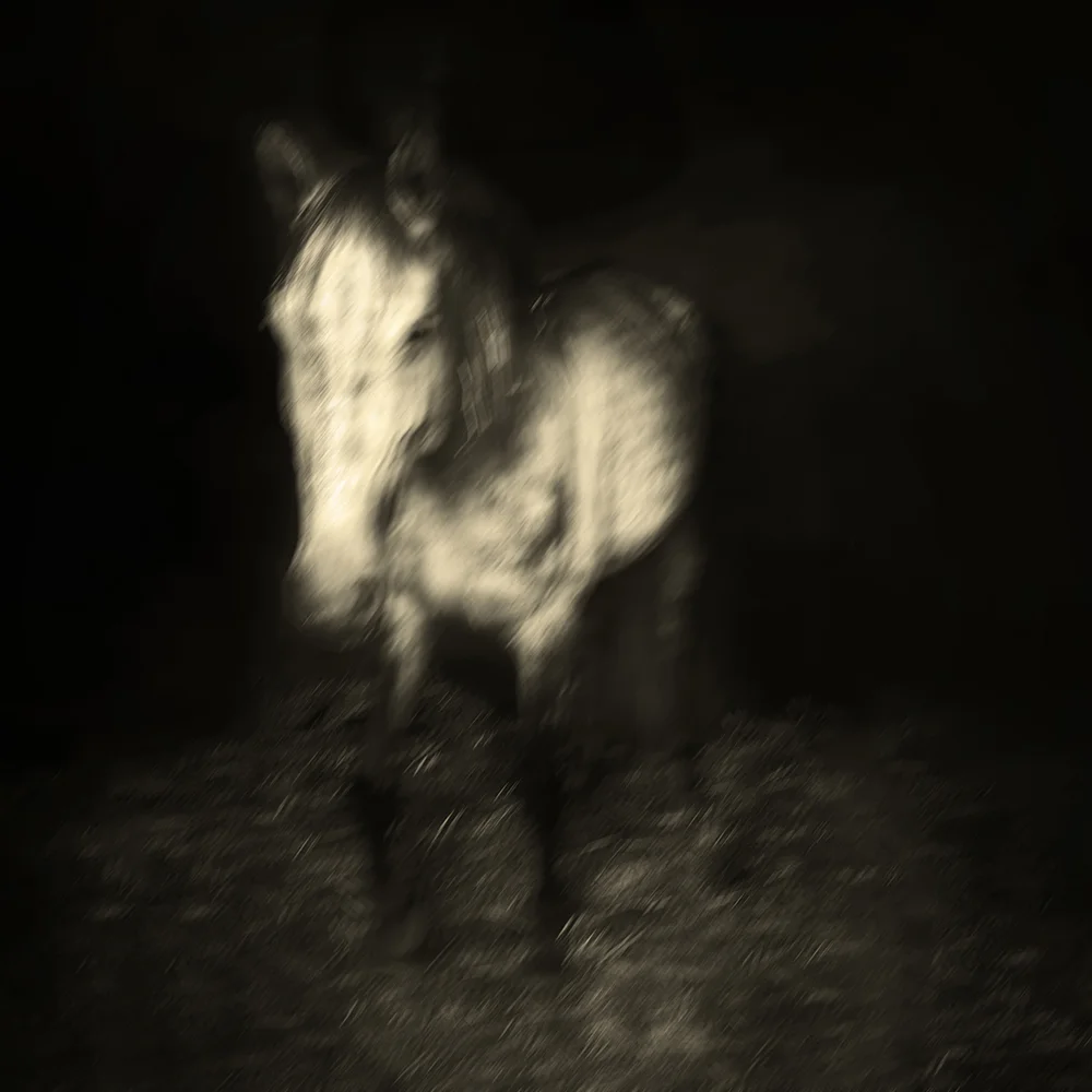 <p>© Marie Sueur</p>