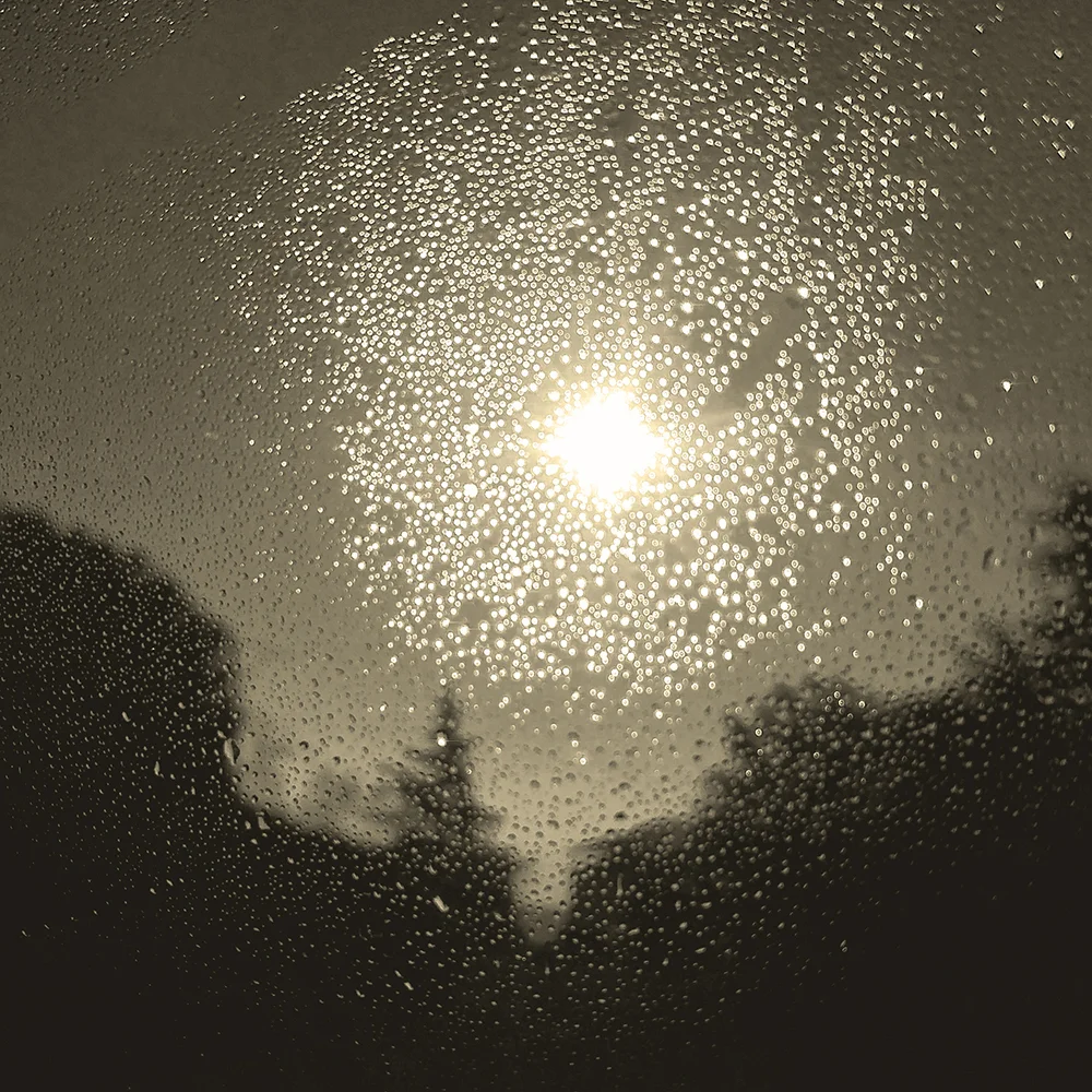 <p>© Marie Sueur</p>