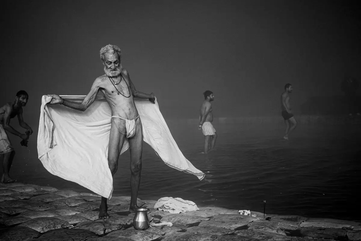 <p>© Mark Seymour</p>