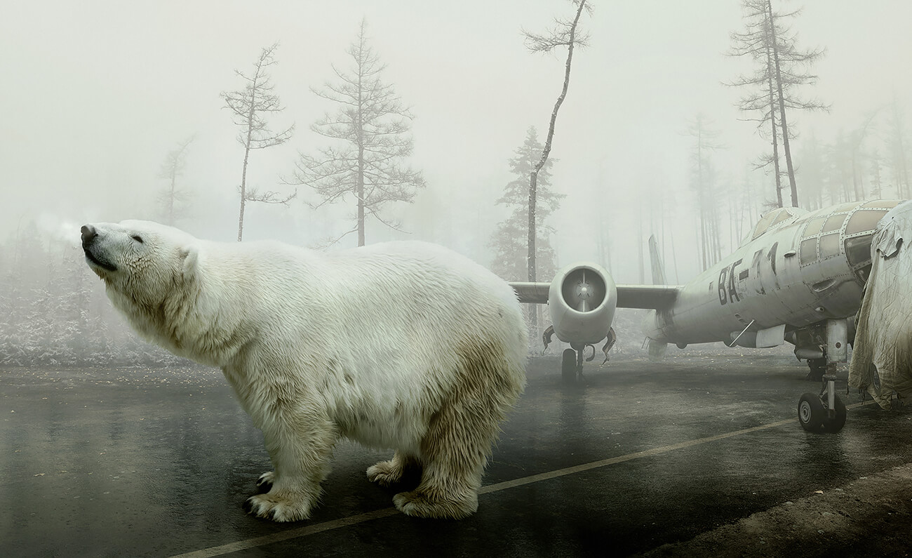 Bear with me, 2018<p>© Martin Stranka</p>