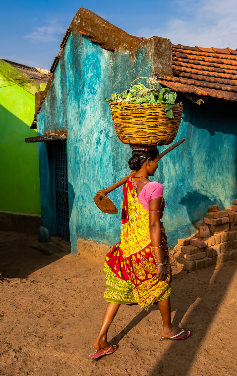 India<p>© Maynard Switzer</p>
