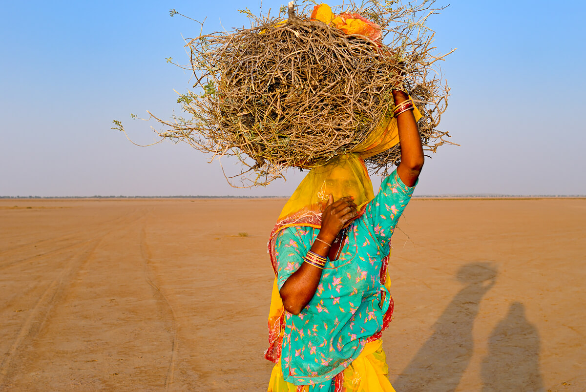 Rajasthan<p>© Maynard Switzer</p>