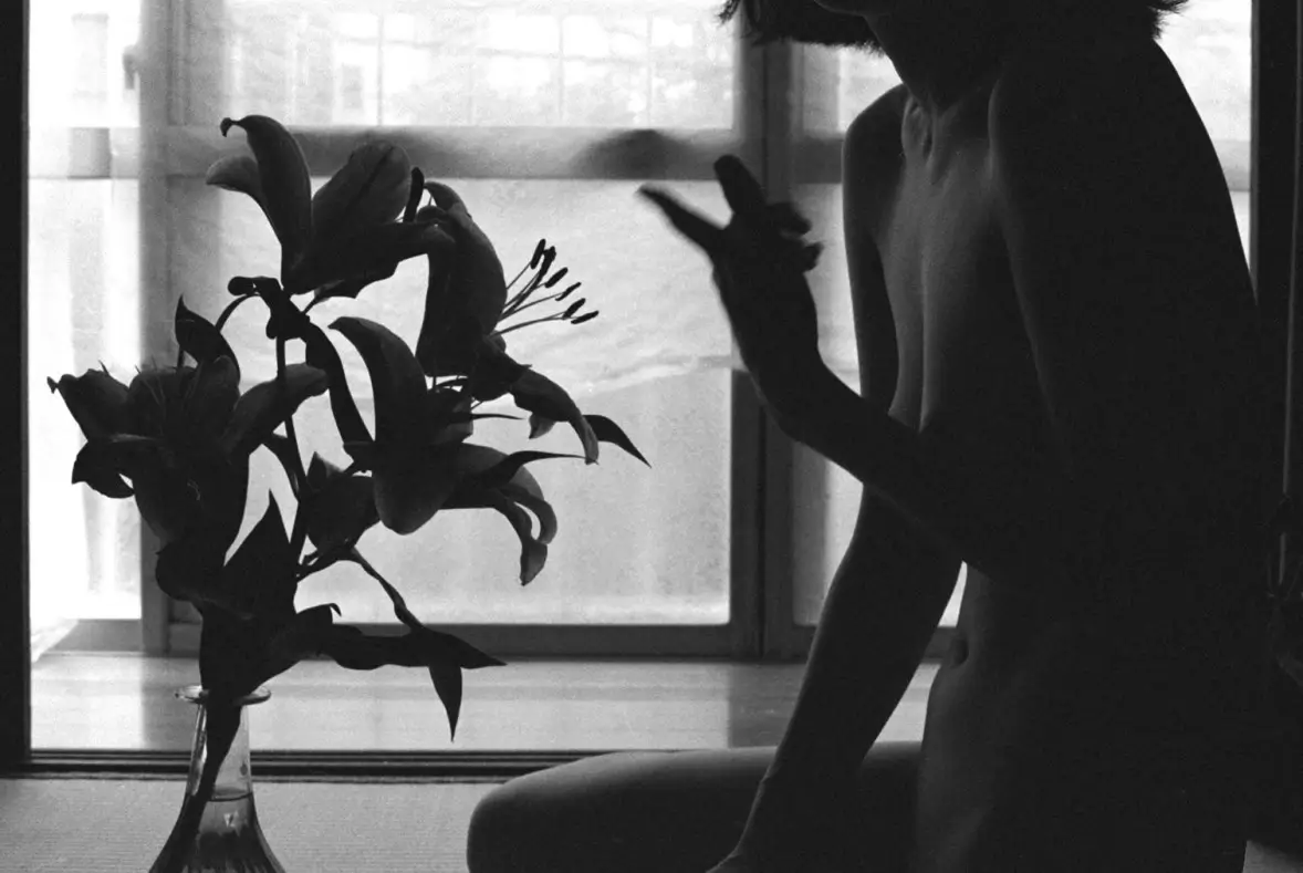 <p>© Michael Sela</p>