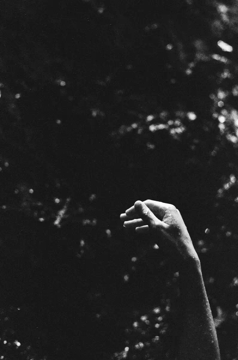 Kansha<p>© Michael Sela</p>