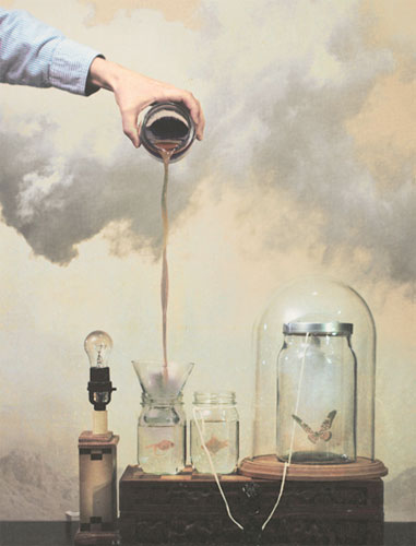 <p>© Nicholas Scarpinato</p>