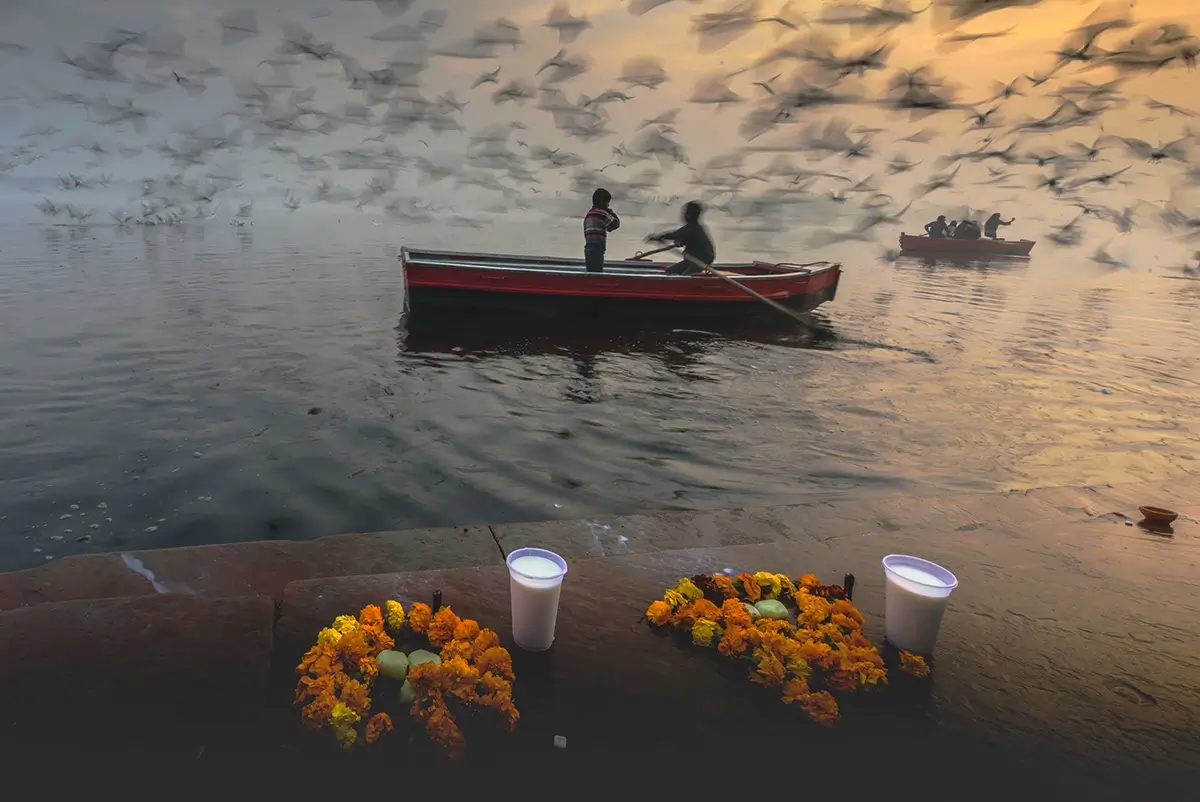 Chapter 1<p>&copy; Sankar Sridhar</p>