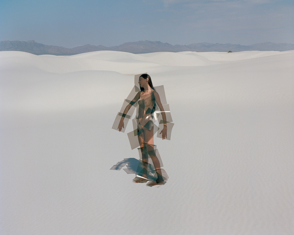 <p>©  Synchrodogs</p>